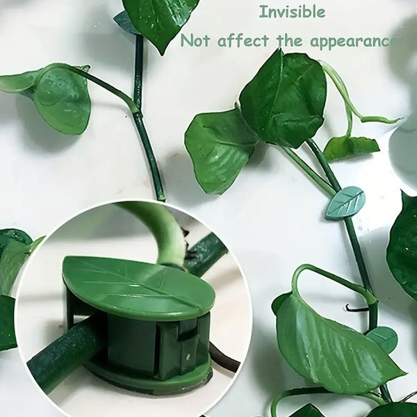Plant Climbing Wall Clip, Self-Adhesive Vines Support Hooks for Indoor Outdoor Use (10 Pcs Set)